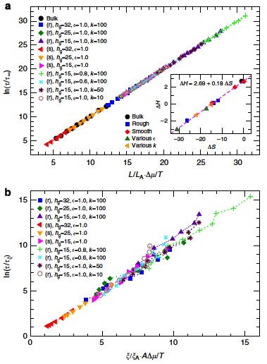 Test of AG relation using string length and dynamical interfacial scale